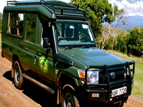 The Ark - Game Drive 